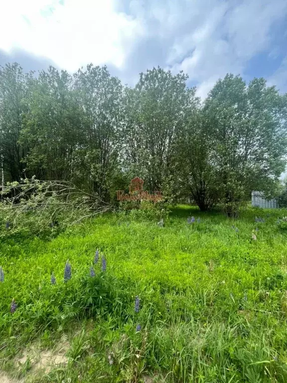 Участок в Московская область, Сергиев Посад ул. Суворицкая (20.0 сот.) - Фото 1