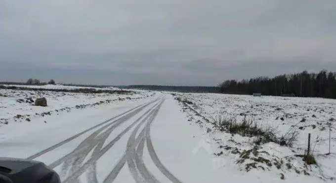 Участок в Ленинградская область, Ломоносовский район, Лопухинское ... - Фото 0