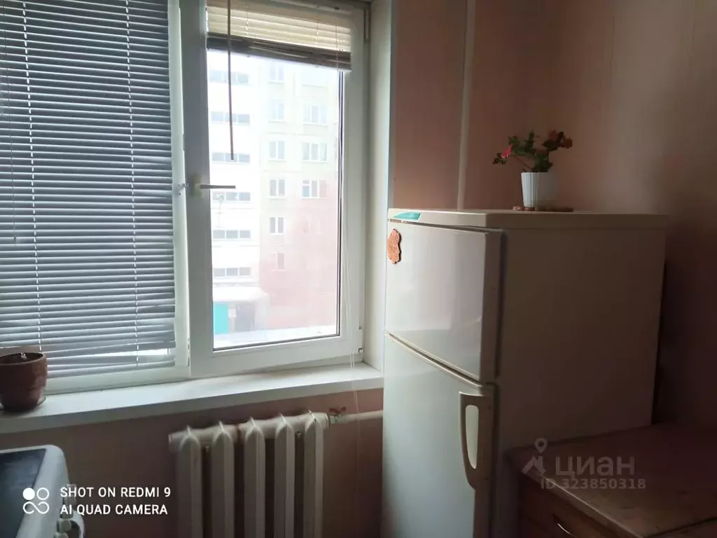 1-к кв. Новосибирская область, Новосибирск Рельсовая ул., 8 (31.0 м) - Фото 1