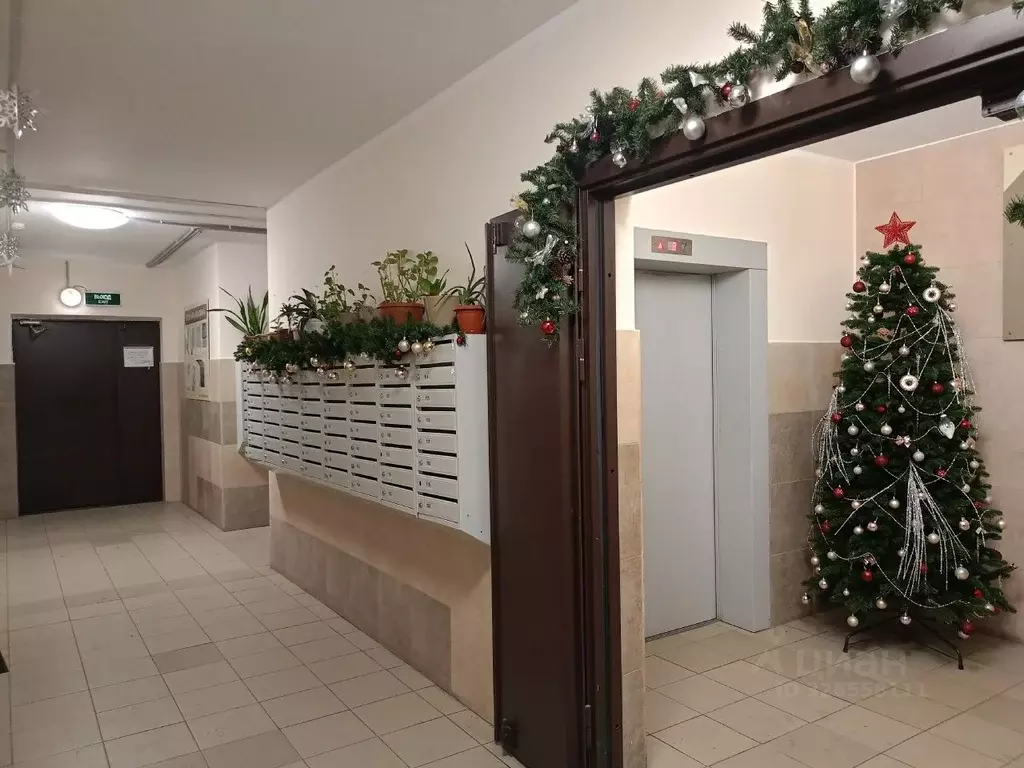 Студия Красноярский край, Красноярск ул. Калинина, 47М (31.0 м) - Фото 2