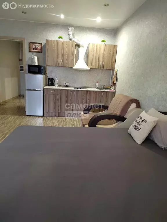 Квартира-студия: Ногинск, улица Дмитрия Михайлова, 1 (29.3 м) - Фото 2