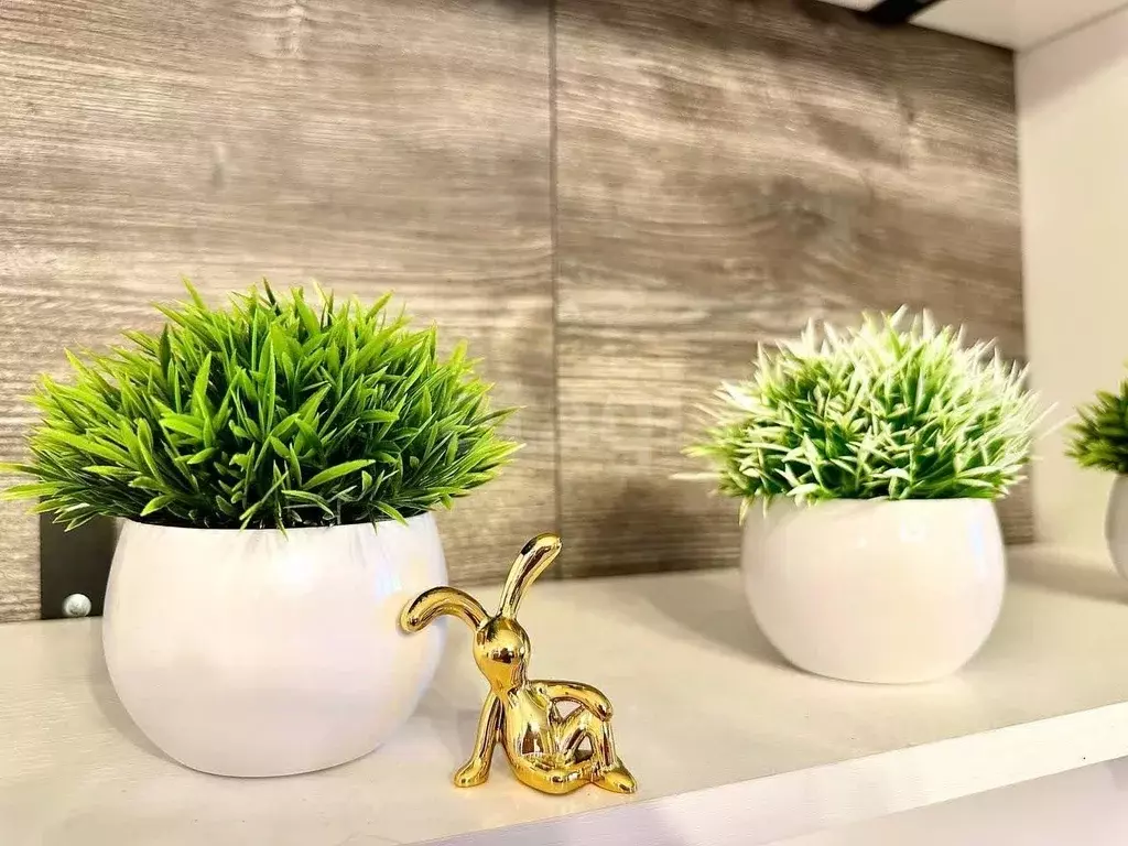 Комната Санкт-Петербург просп. Обуховской обороны, 95К1 (21.9 м) - Фото 1