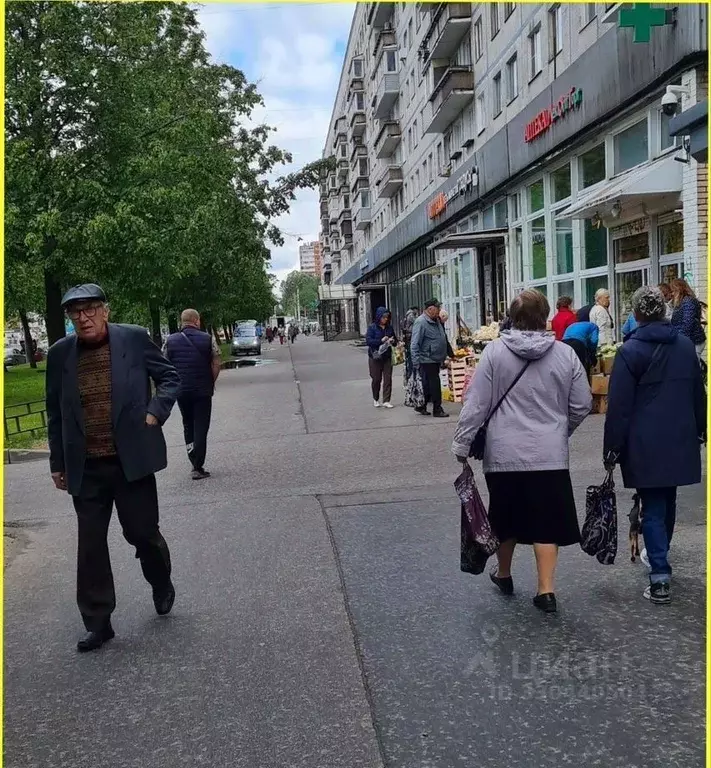 Помещение свободного назначения в Санкт-Петербург просп. Художников, ... - Фото 1