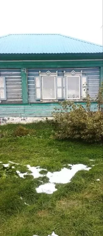 Дом в Алтайский край, Красногорский район, с. Новозыково ул. Луговая, ... - Фото 1