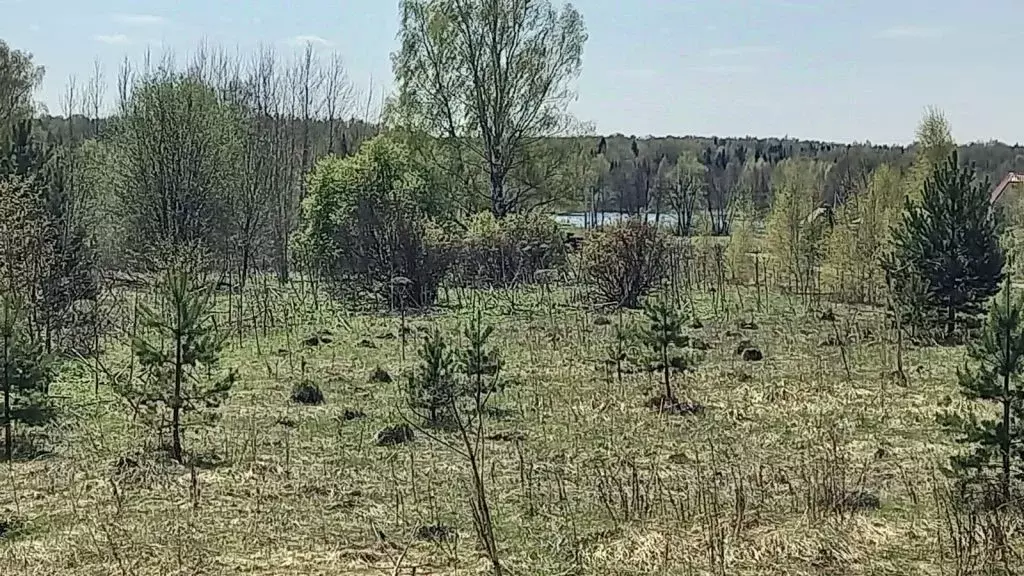 Участок в Ивановская область, Ивановский муниципальный округ, д. ... - Фото 2