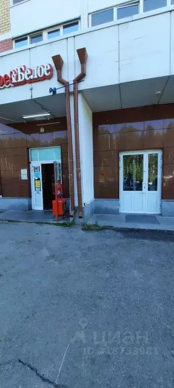 Помещение свободного назначения в Свердловская область, Екатеринбург ... - Фото 0