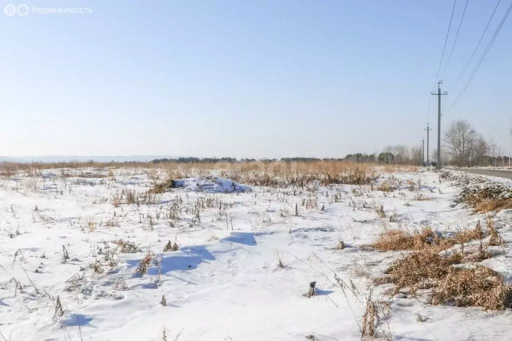 Участок в Баклашинское муниципальное образование, ДНП Гагарин, улица ... - Фото 0