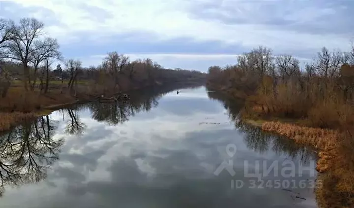 Участок в Волгоградская область, Среднеахтубинский район, Фрунзенское ... - Фото 1