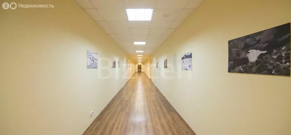 Офис (13.9 м) - Фото 2