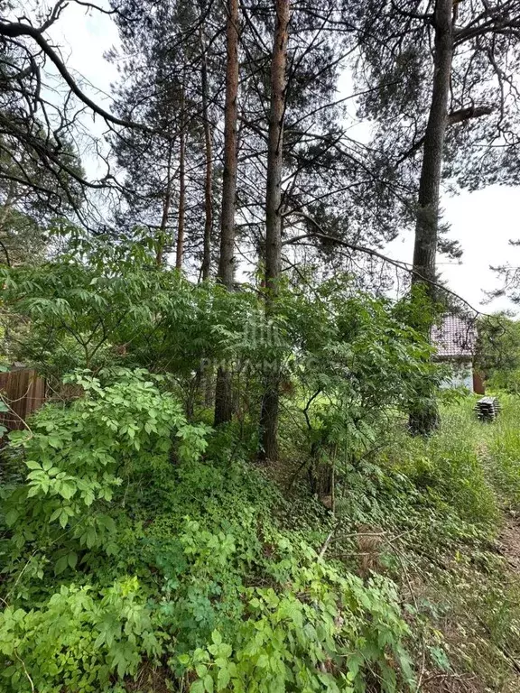 Дом в Брянская область, Сельцо Южная ул., 8 (113 м) - Фото 2