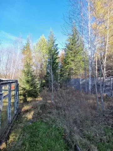 Дача 40 м на участке 14 сот. - Фото 0