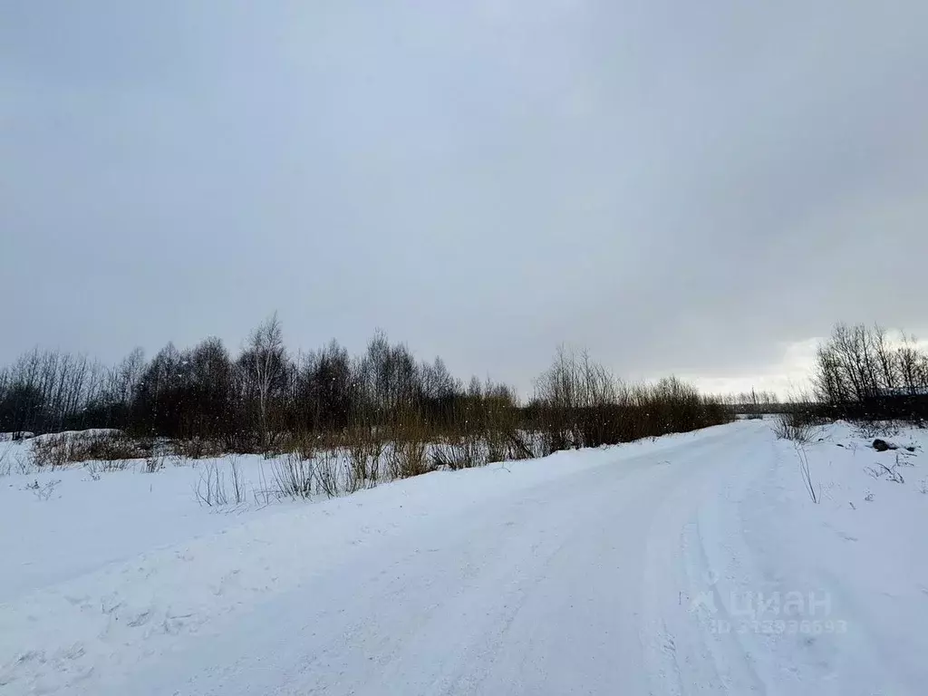 Участок в Тюменская область, Тюменский район, с. Богандинское ... - Фото 0