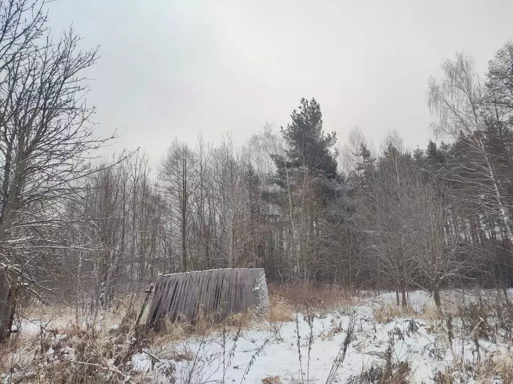 Участок в Московская область, Ликино-Дулево Орехово-Зуевский городской ... - Фото 0
