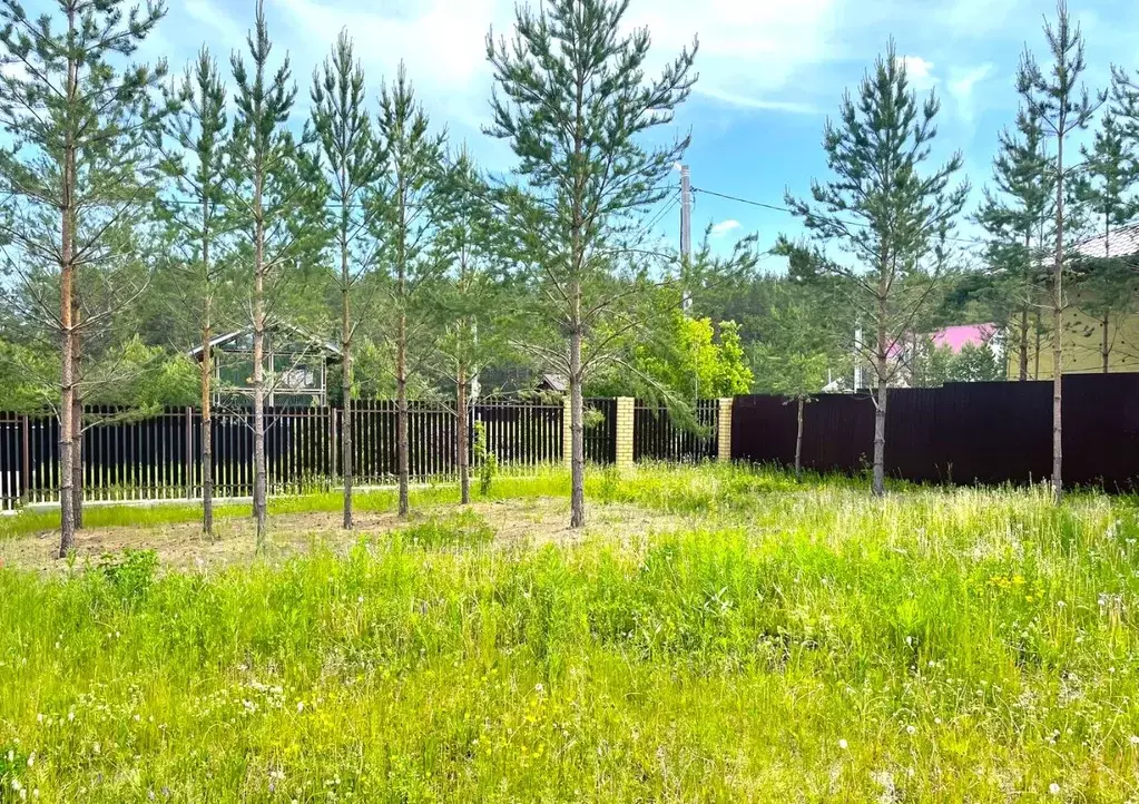 Участок в Свердловская область, Сысертский муниципальный округ, СНТ ... - Фото 2