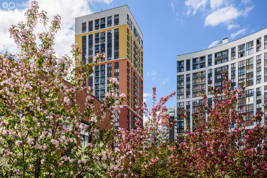 1-комнатная квартира: Санкт-Петербург, Комендантский проспект, 60к3 ... - Фото 1