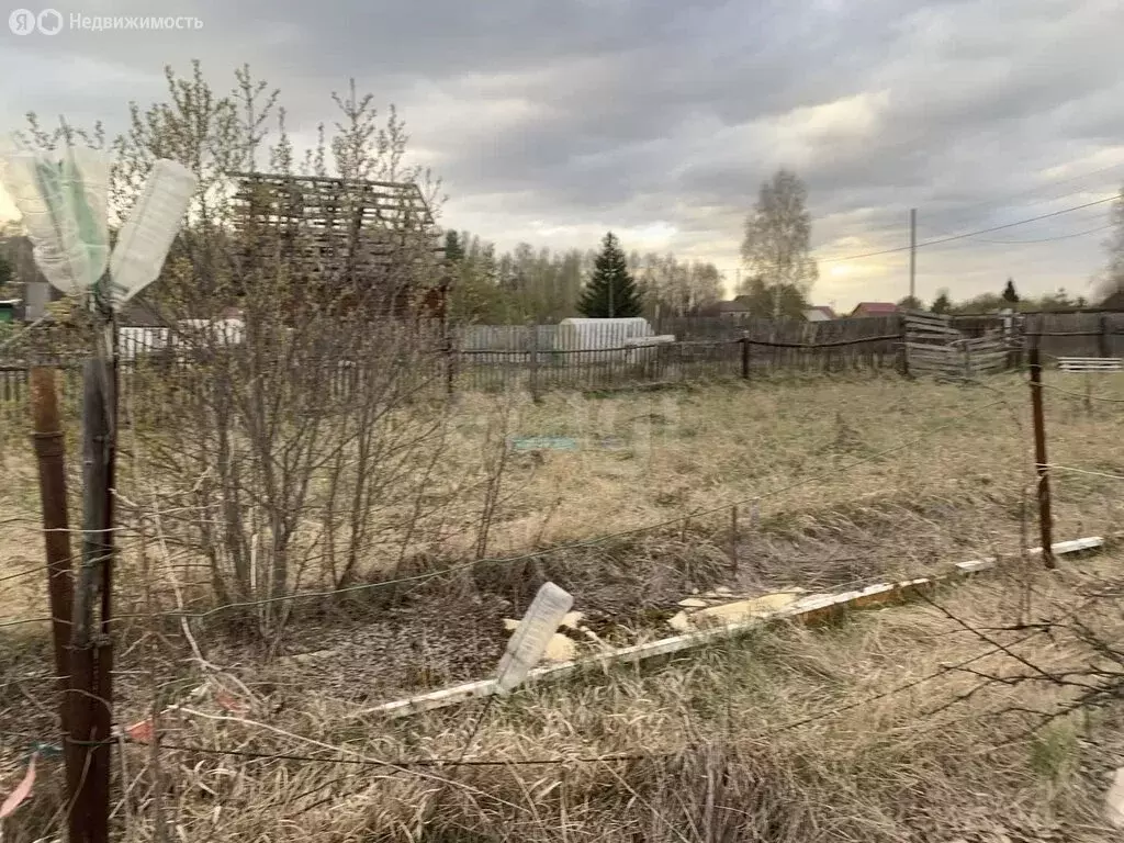 Участок в Нижнетавдинский район, сельскохозяйственный потребительский ... - Фото 1