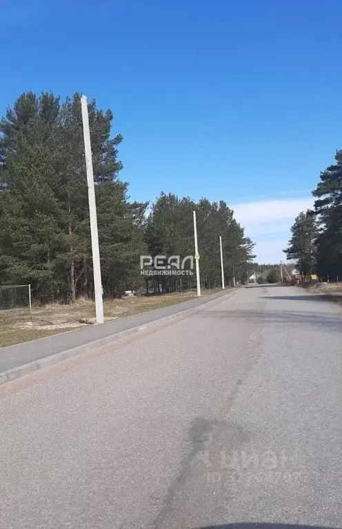 Участок в Ленинградская область, Всеволожский район, Дубровское ... - Фото 2