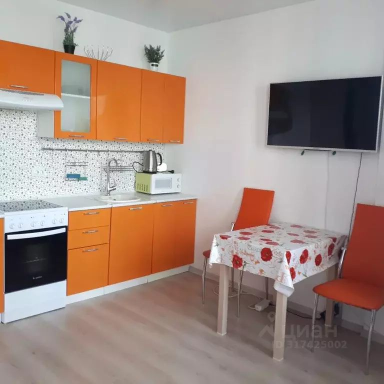 Студия Санкт-Петербург Парашютная ул., 38к1 (25.0 м) - Фото 0