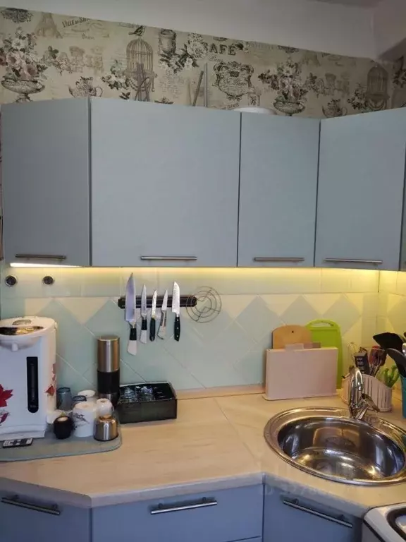 2-к кв. Санкт-Петербург просп. Народного ополчения, 229 (45.0 м) - Фото 1