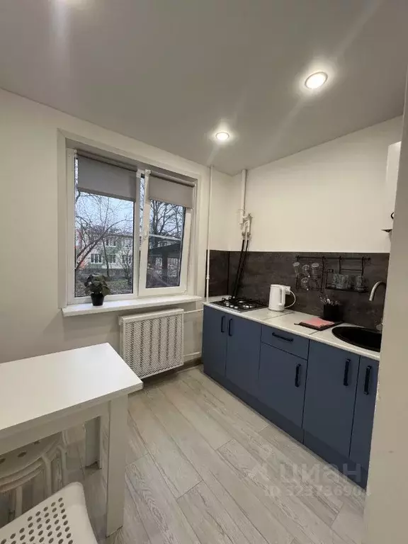 2-к кв. Псковская область, Псков Пароменская ул., 17 (45.0 м) - Фото 2