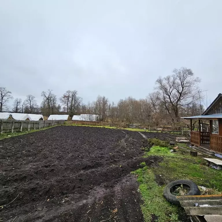 Участок в Московская область, Луховицы муниципальный округ, д. Лисьи ... - Фото 1