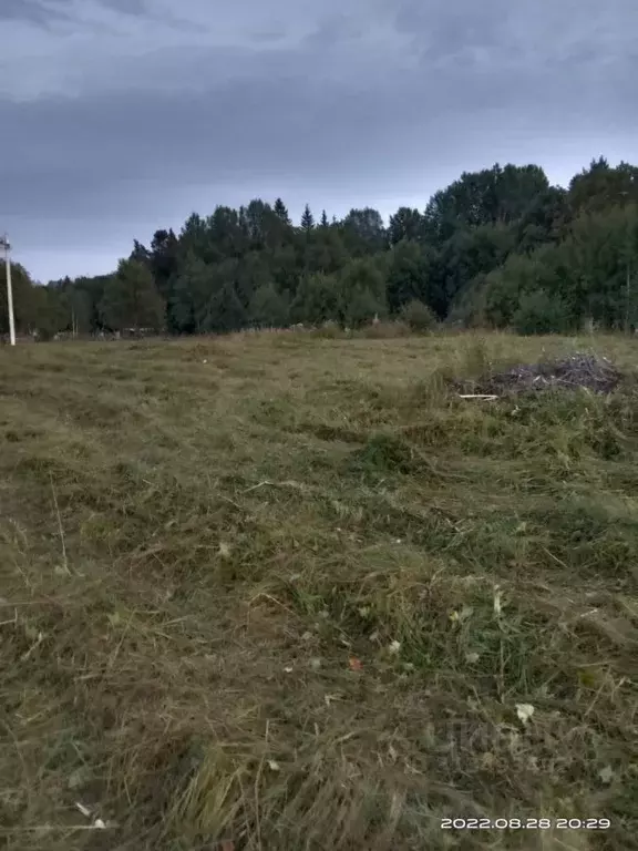 Участок в Ленинградская область, Ломоносовский район, Лопухинское ... - Фото 0