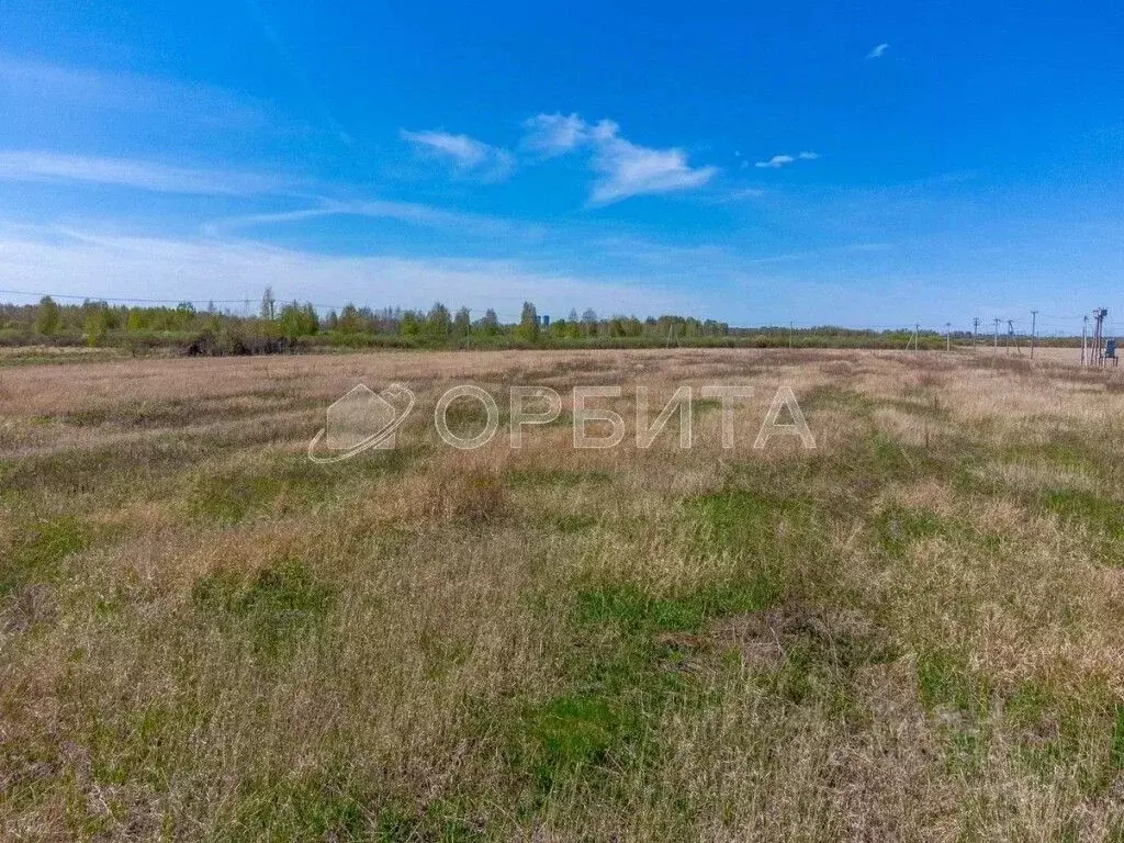 Участок в Тюменская область, Тюмень  (1210.0 сот.) - Фото 0
