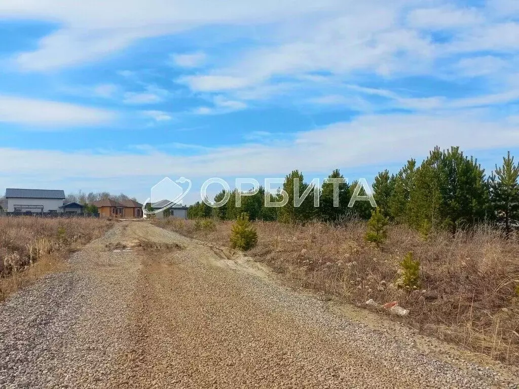 Участок в Тюменская область, Тюменский муниципальный округ, с. ... - Фото 2