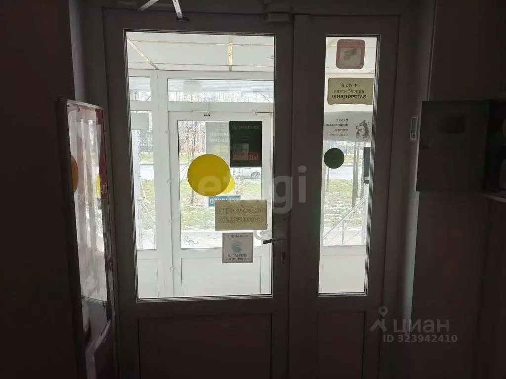 Помещение свободного назначения в Ямало-Ненецкий АО, Муравленко ул. ... - Фото 2