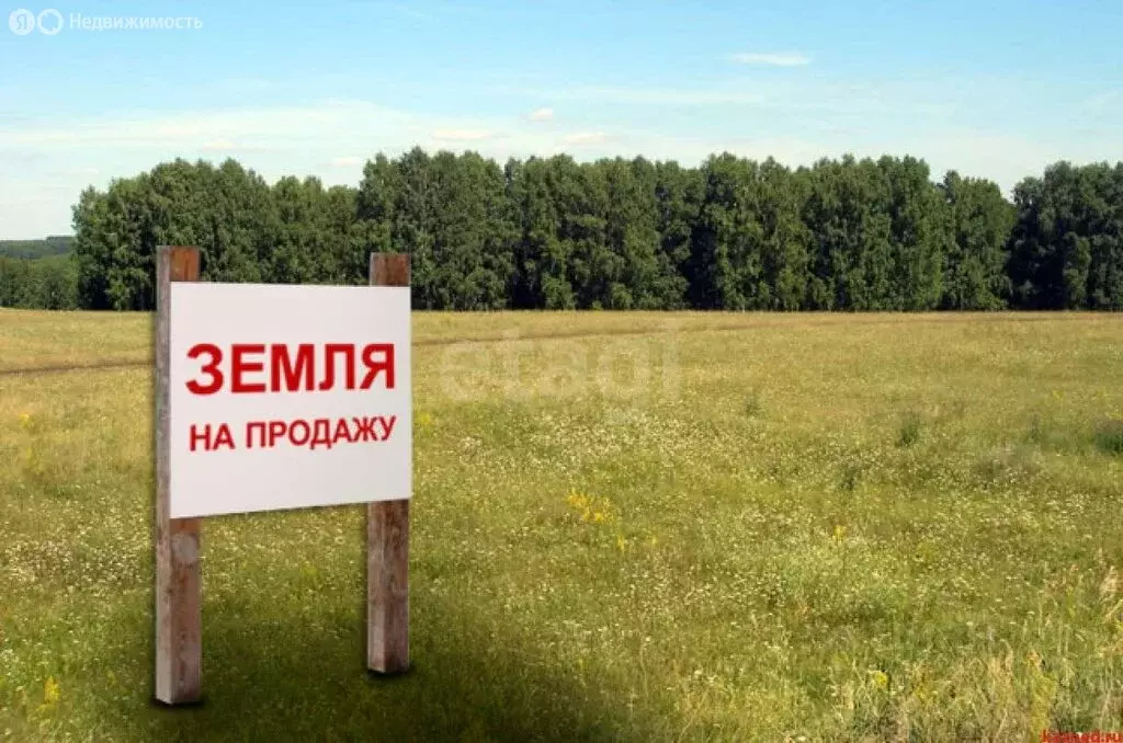 Участок в Курганская область, Кетовский муниципальный округ, посёлок ... - Фото 1
