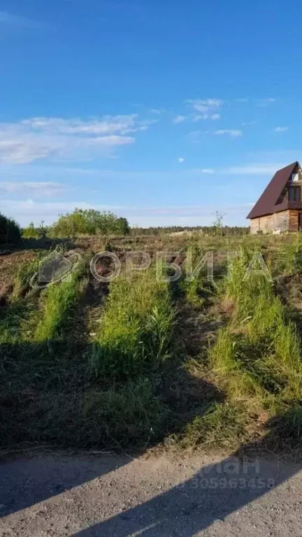 Участок в Тюменская область, Тюменский район, Нива СНТ  (7.8 сот.) - Фото 1