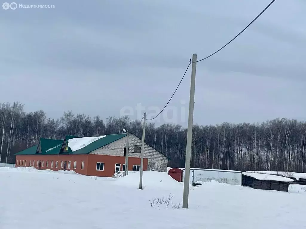 Помещение свободного назначения (10664.3 м) - Фото 2