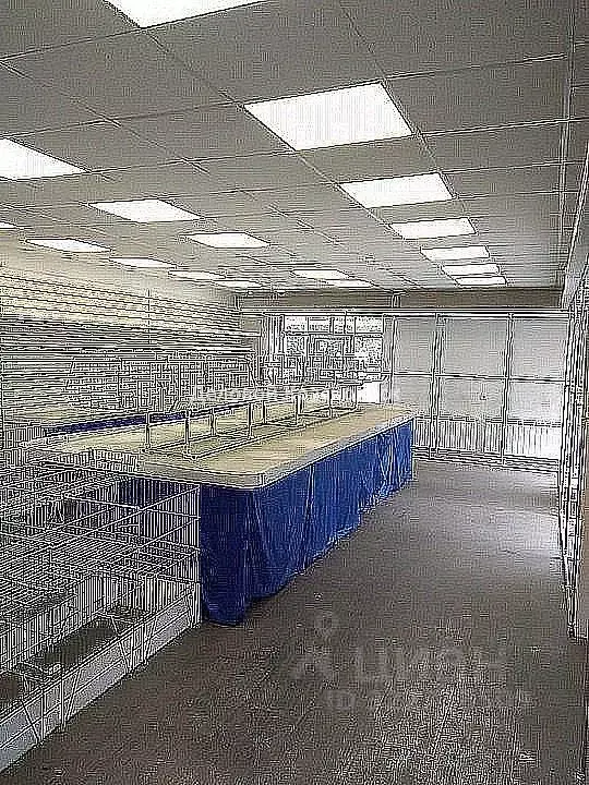 Торговая площадь в Красноярский край, Красноярск ул. Академика ... - Фото 2