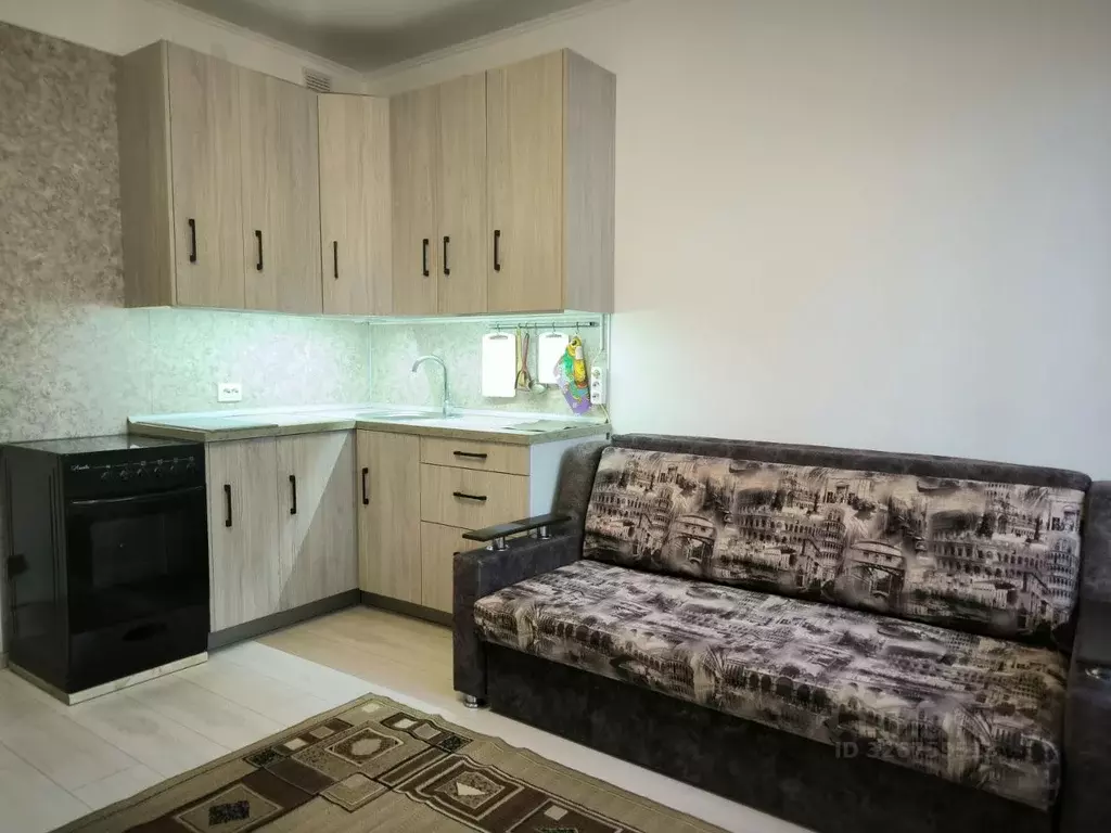 Студия Санкт-Петербург аллея Арцеуловская, 19 (25.0 м) - Фото 2