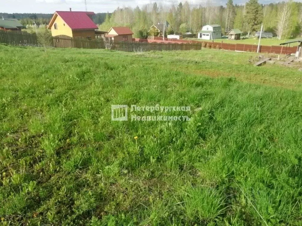 Участок в Ленинградская область, Кировский район, Мгинское городское ... - Фото 0