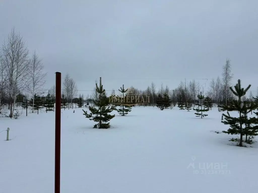 Участок в Марий Эл, Йошкар-Ола городской округ, д. Шоя-Кузнецово ул. ... - Фото 1