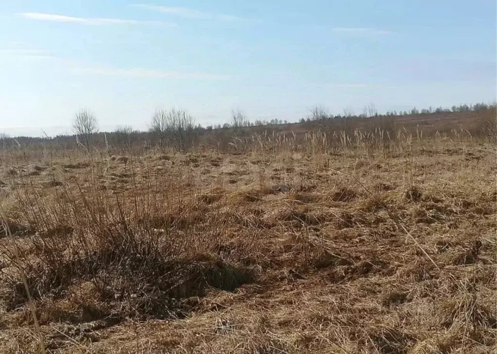 Участок в Курская область, Курский район, Моковский сельсовет, д. ... - Фото 1