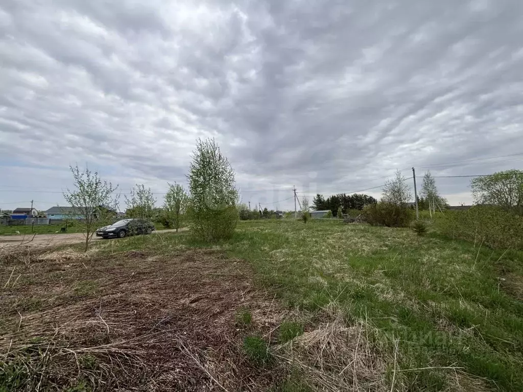 Участок в Вологодская область, пос. Непотягово, д. Кудрино ул. ... - Фото 2