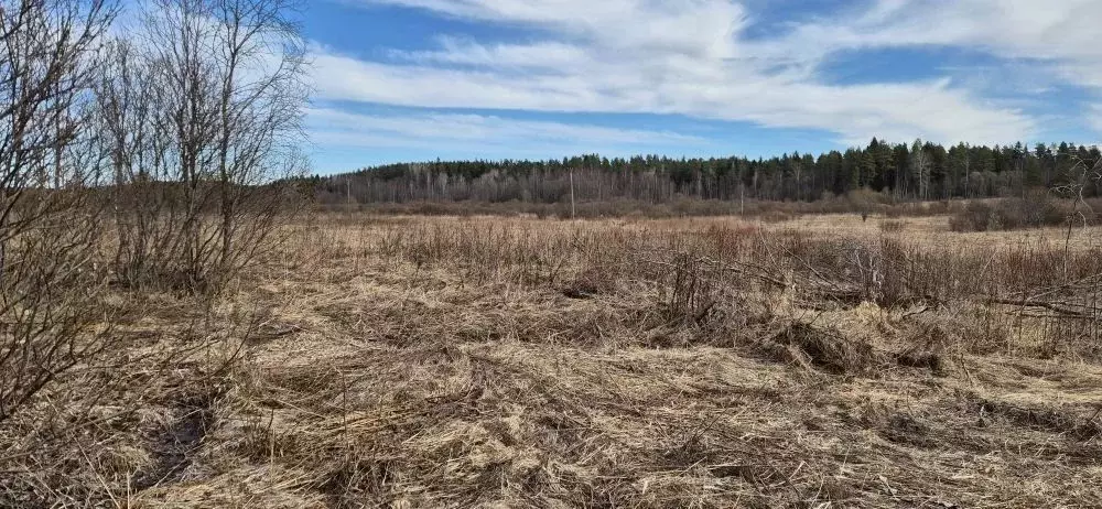 Участок в Карелия, Лахденпохский муниципальный округ, пос. Мийнала  ... - Фото 2