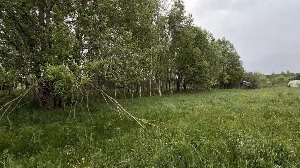 Участок в Московская область, Истра ул. Ленина, Река Истра (10.71 ... - Фото 1