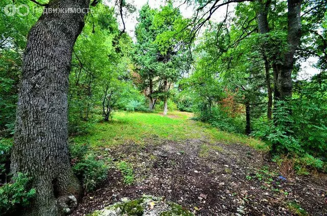 Участок в Республика Крым, муниципальный округ Ялта, посёлок ... - Фото 2