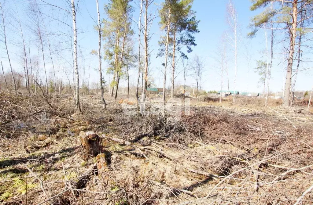 Участок в Калужская область, Малоярославецкий район, Михеево с/пос, д. ... - Фото 2