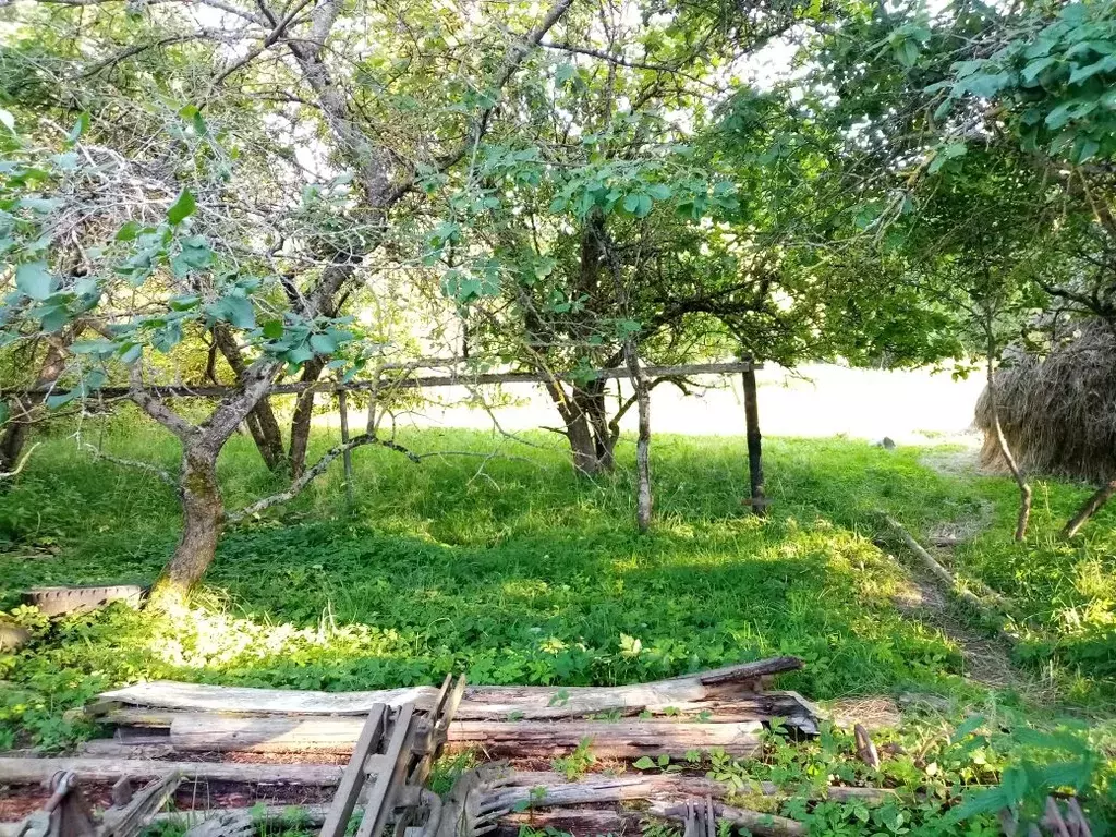 Участок в Ленинградская область, Тосненский район, Нурминское с/пос, ... - Фото 2