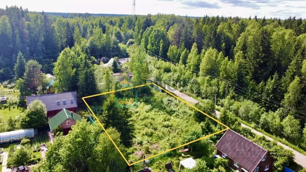 Участок в Ленинградская область, Выборгский район, Красносельское ... - Фото 2