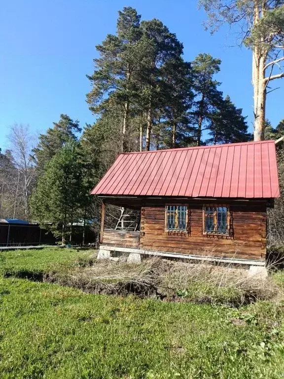 Участок в Свердловская область, Екатеринбург Жулановское СНТ, 95 ... - Фото 0