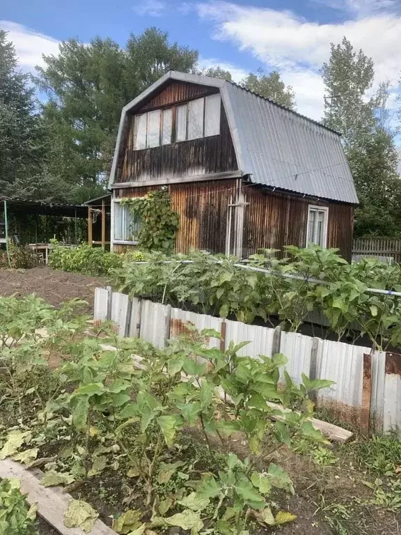 Дом в Хабаровский край, Комсомольский район, Восход СНТ ул. Липовая, ... - Фото 1
