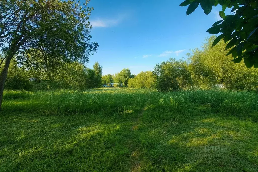 Участок в Московская область, Черноголовка городской округ, с. ... - Фото 1