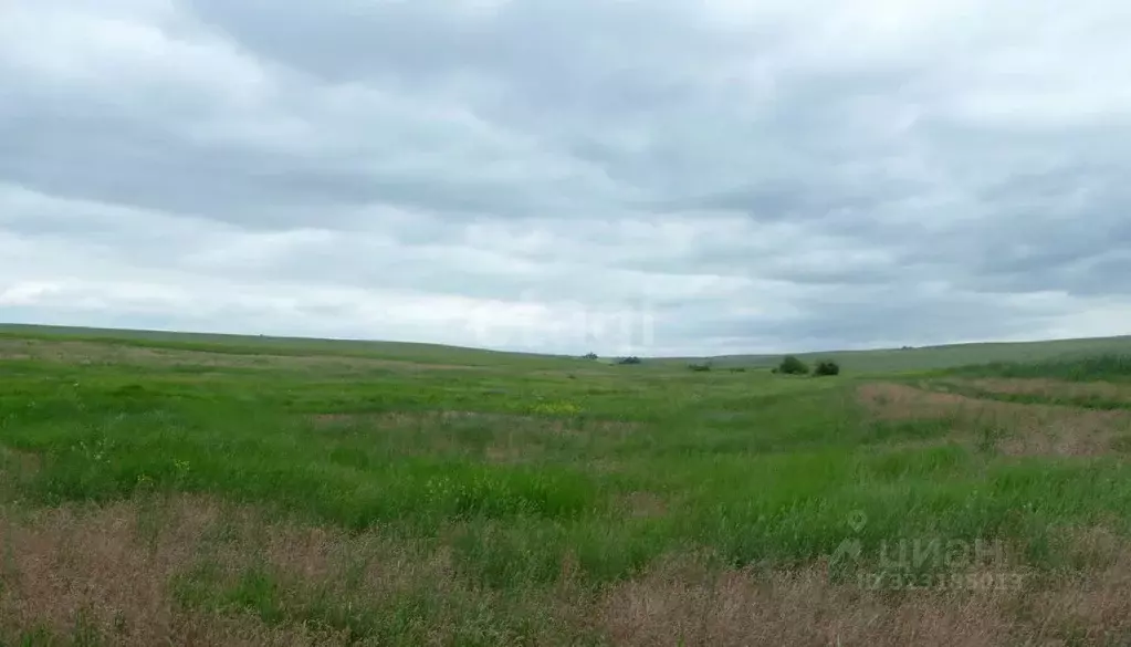 Участок в Волгоградская область, Среднеахтубинский район, Фрунзенское ... - Фото 2