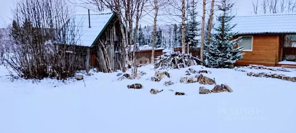 Участок в Карелия, Прионежский район, Деревянское с/пос ул. Сосновая ... - Фото 2