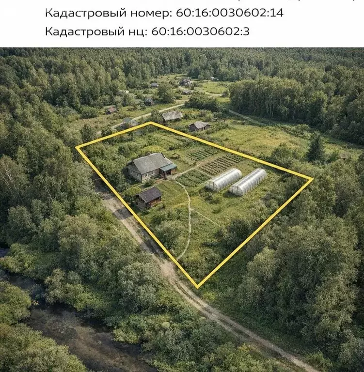 Дом в Псковская область, Плюсский муниципальный округ, деревня ... - Фото 2